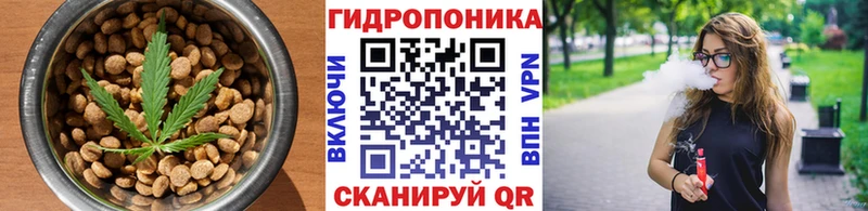 Еда ТГК конопля  Купить где  Чаплыгин