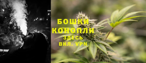 хмурый Мегион