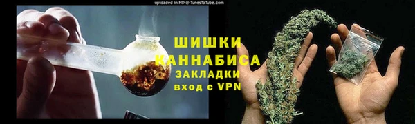 хмурый Мегион