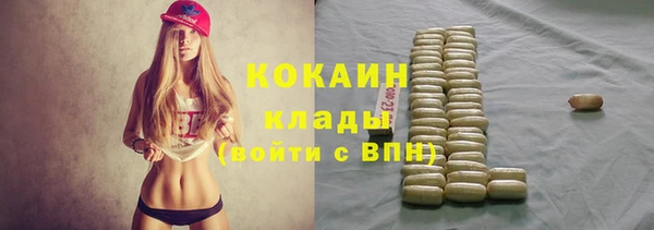 хмурый Мегион
