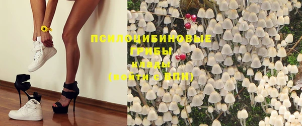 хмурый Мегион