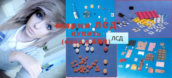 хмурый Мегион