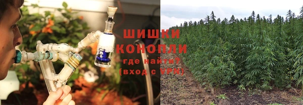 хмурый Мегион
