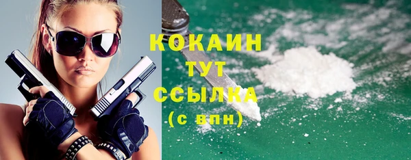 хмурый Мегион