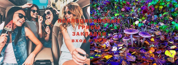 хмурый Мегион