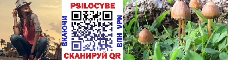 Купить  Чаплыгин  Галлюциногенные грибы MAGIC MUSHROOMS 