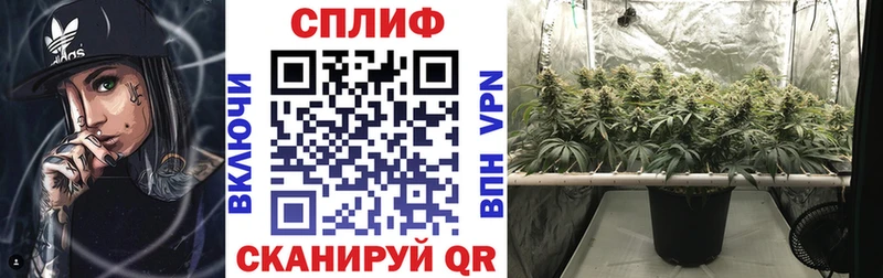 Купить  Чаплыгин  Каннабис сатива 
